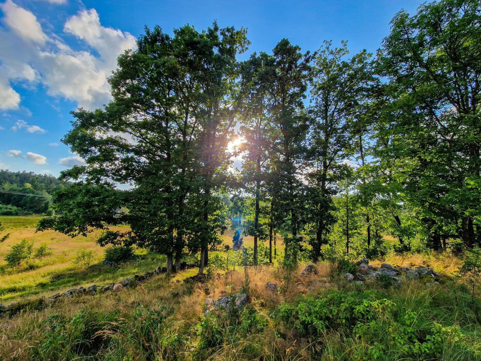 Wild Lodge Nol Екстер'єр фото