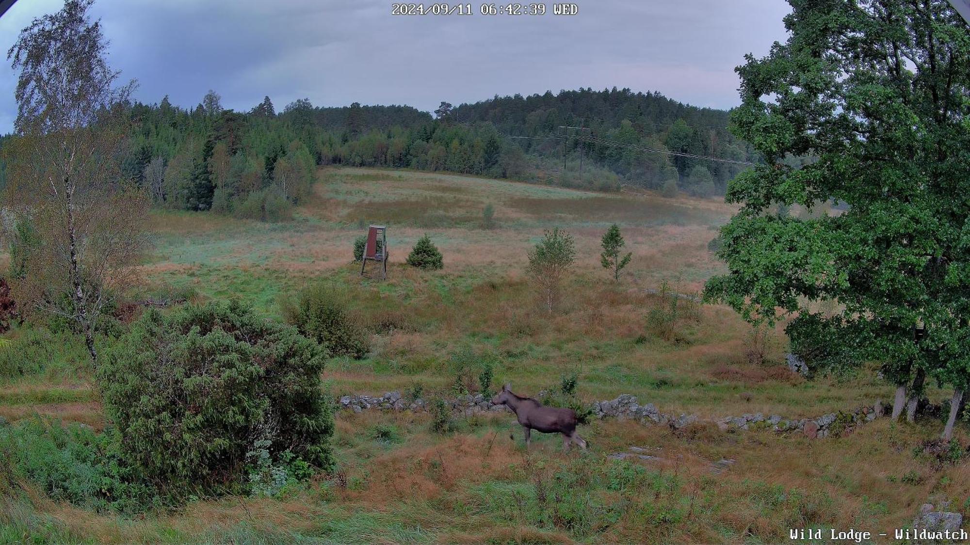 Wild Lodge Nol Екстер'єр фото