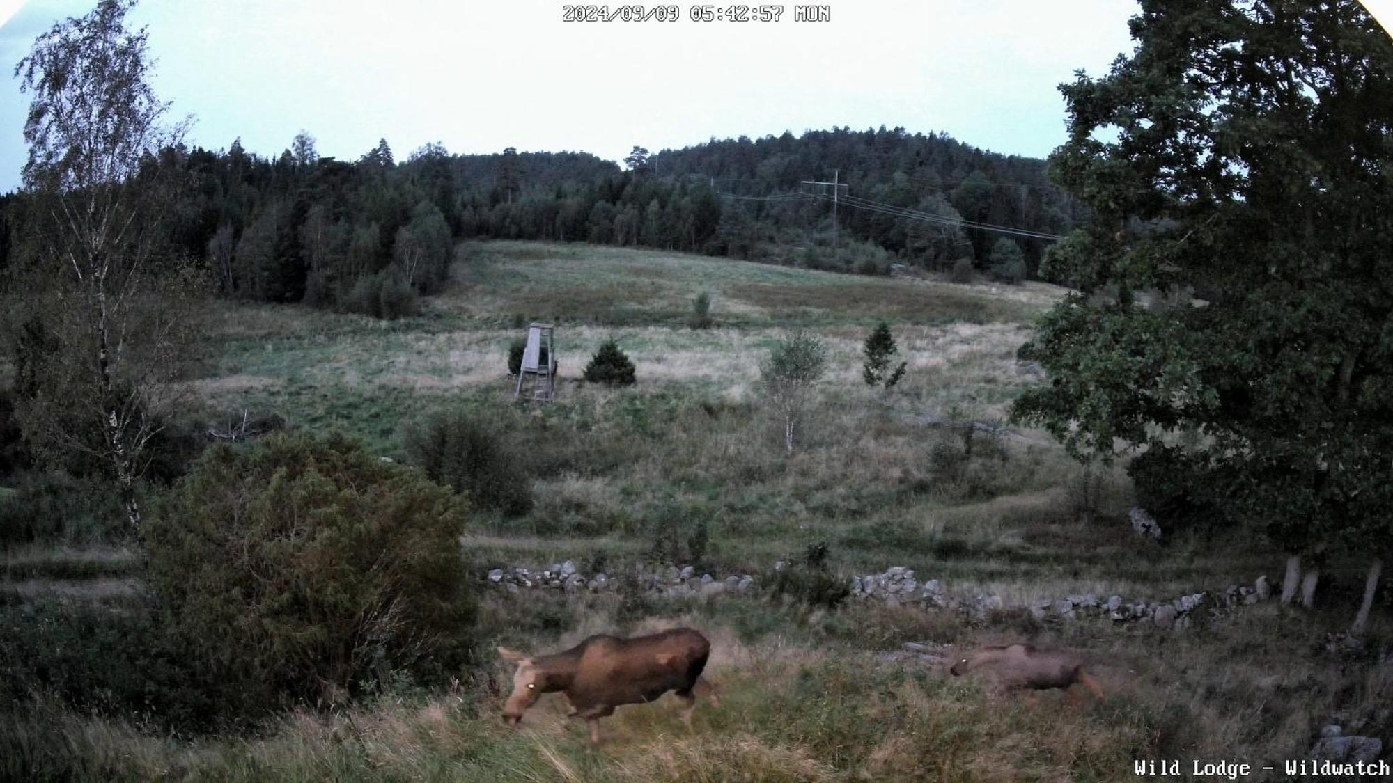 Wild Lodge Nol Екстер'єр фото