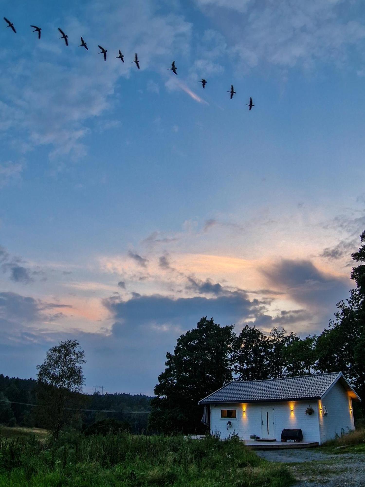 Wild Lodge Nol Екстер'єр фото